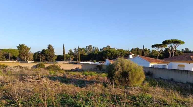 Cádiz - Chiclana de la Frontera - 5000m2