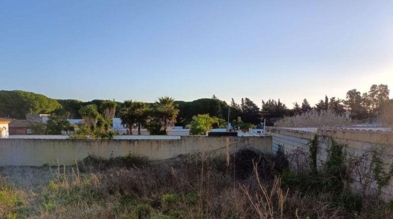 Cádiz - Chiclana de la Frontera - 5000m2