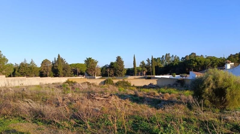 Cádiz - Chiclana de la Frontera - 5000m2
