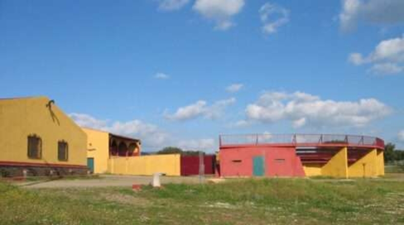 Comunidad de Madrid - Torrejón de Ardoz - 50000m2