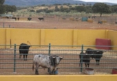 Land suitable for development for sale on España, Torrejón el Rubio, ref: TR327200 photo