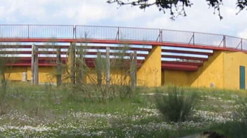 Comunidad de Madrid - Torrejón de Ardoz - 50000m2