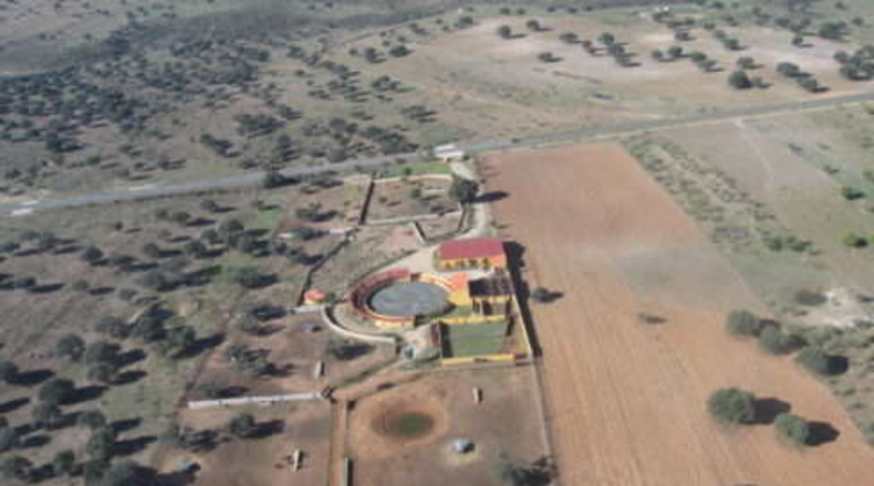Comunidad de Madrid - Torrejón de Ardoz - 50000m2