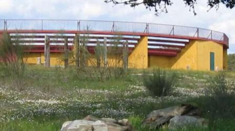 Comunidad de Madrid - Torrejón de Ardoz - 50000m2