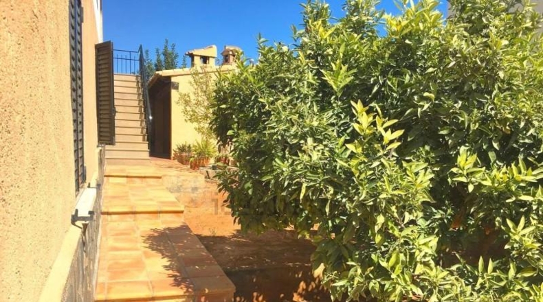 Valencia - Oliva - 1560m2