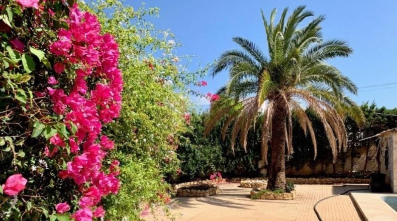 Alicante - Alfaz del Pi - 910m2