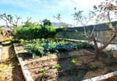 Detached villa with land for sale on España, Potries, ref: TR309790 photo
