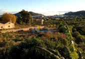 Detached villa with land for sale on España, Potries, ref: TR309790 photo