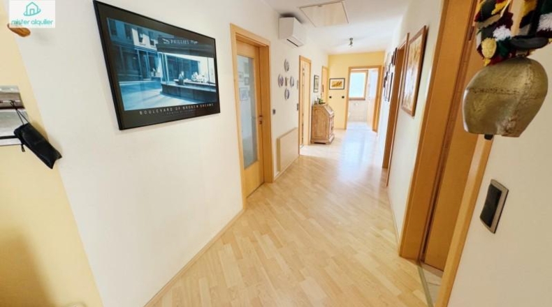 Alicante - Dolores - 159951m2