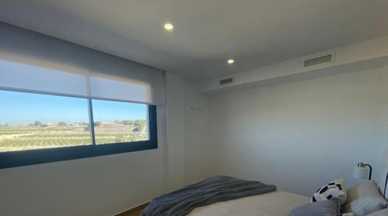 Alicante - Algorfa - 198m2