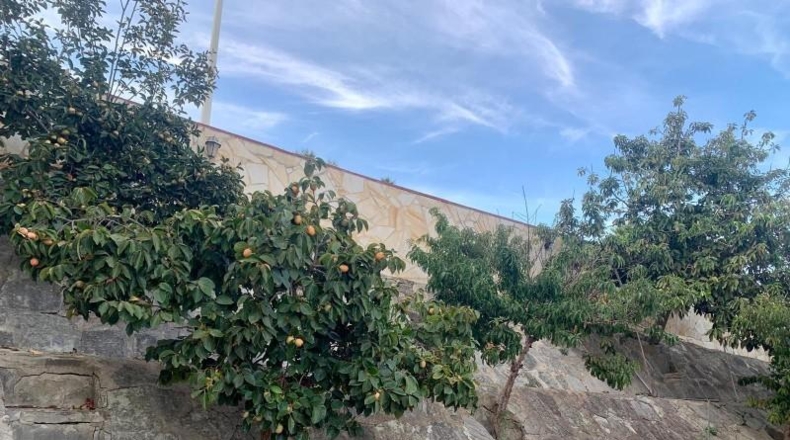 Cadiz - Algeciras - 1349m2