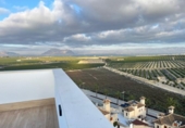 Chalet independiente con terreno en venta en la España, Algorfa, ref: TR320118 foto