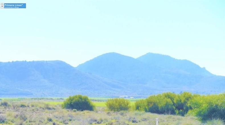 Murcia - Cartagena - 816m2