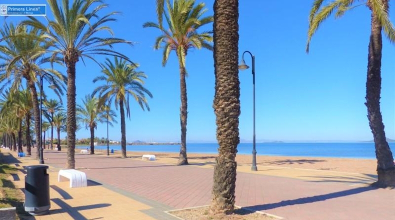 Murcia - Cartagena - 816m2
