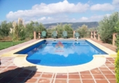 Casa de camp amb terreny en venda a la España, Arriate, ref.: TR166142 foto