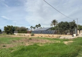 Chalet independiente con terreno en venta en la España, Crevillente, ref: TR349643 foto