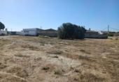 Casa de camp amb terreny en venda a la España, El Puerto de Santa María, ref.: TR146390 foto