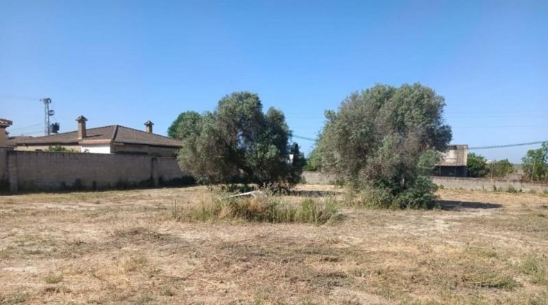 Cádiz - El Puerto de Santa María - 6250m2