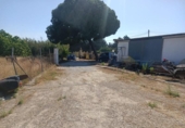 Casa de camp amb terreny en venda a la España, El Puerto de Santa María, ref.: TR146390 foto