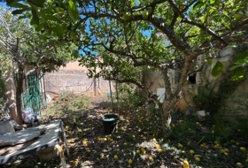 Foto 14