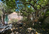 Village house for sale on España, Porreras, ref: TR340985 photo