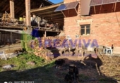 Загородный дом с участком на продажу в городе Arfa Фото