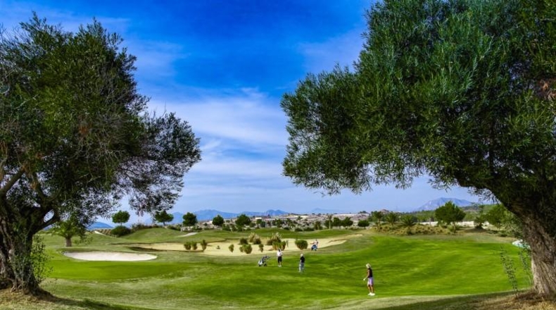 Alicante - Orihuela - 221m2