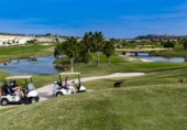 Chalet independiente con terreno en venta en la España, Orihuela, ref: TR133888 foto