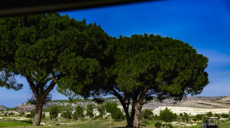 Alicante - Orihuela - 221m2