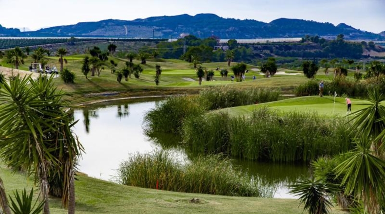 Alicante - Orihuela - 221m2