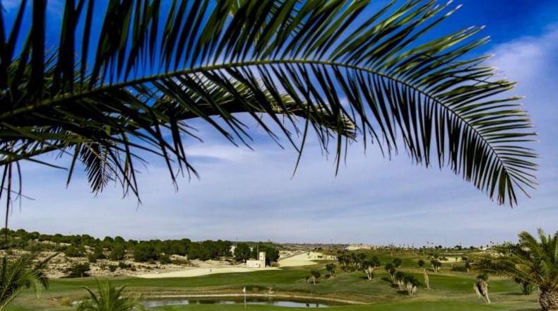 Alicante - Orihuela - 221m2