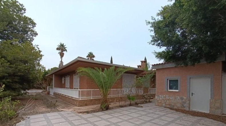 Alicante - Guardamar del Segura - 2800m2