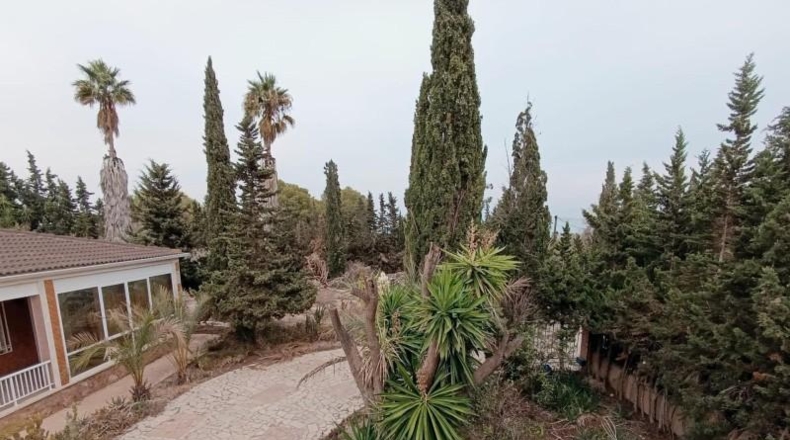 Alicante - Guardamar del Segura - 2800m2