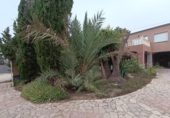 Xalet independent amb terreny en venda a la España, la Marina, ref.: TR198550 foto