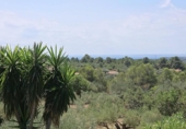 Xalet independent amb terreny en venda a la España, l'Ametlla de Mar, ref.: TR315104 foto