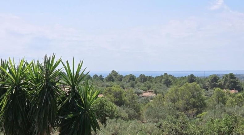 Tarragona - l'Ametlla de Mar - 17000m2