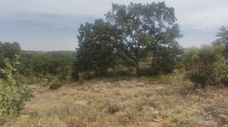 Leon - Garrafe de Torío - 21056m2