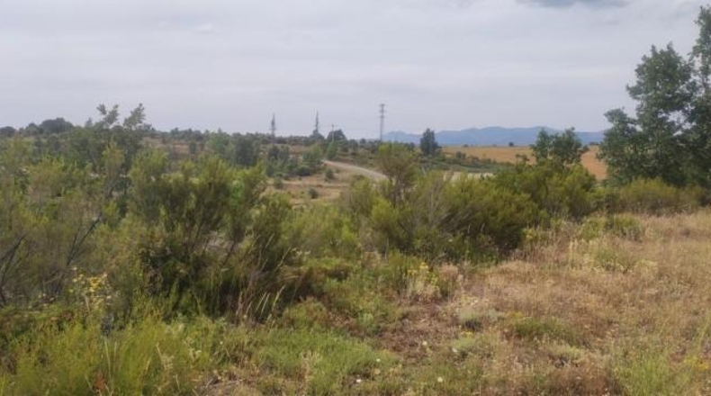 Leon - Garrafe de Torío - 21056m2