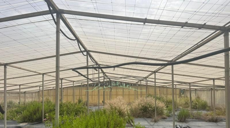 Alicante - La Nucía - 15000m2