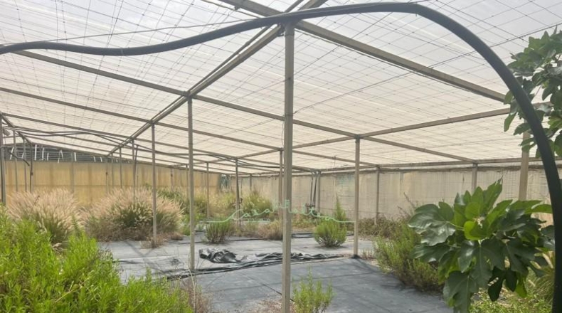 Alicante - La Nucía - 15000m2