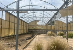 Foto 7