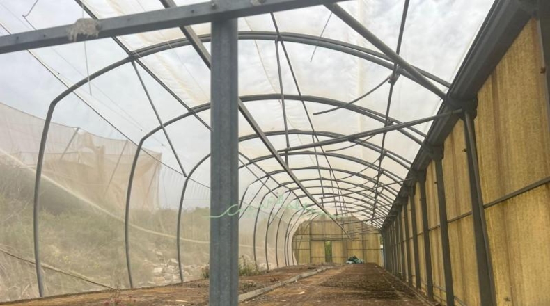 Alicante - La Nucía - 15000m2