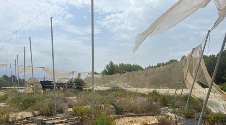 Alicante - La Nucía - 15000m2