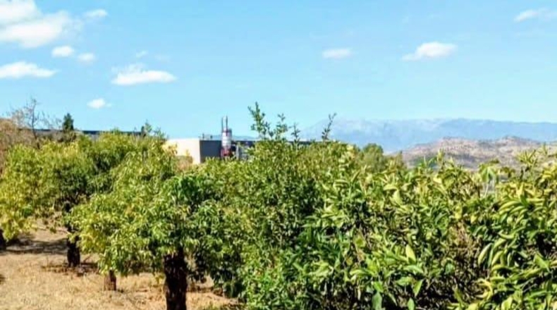 Málaga - Coín - 22349m2