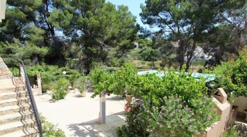 Alicante - Torrevieja - 938m2