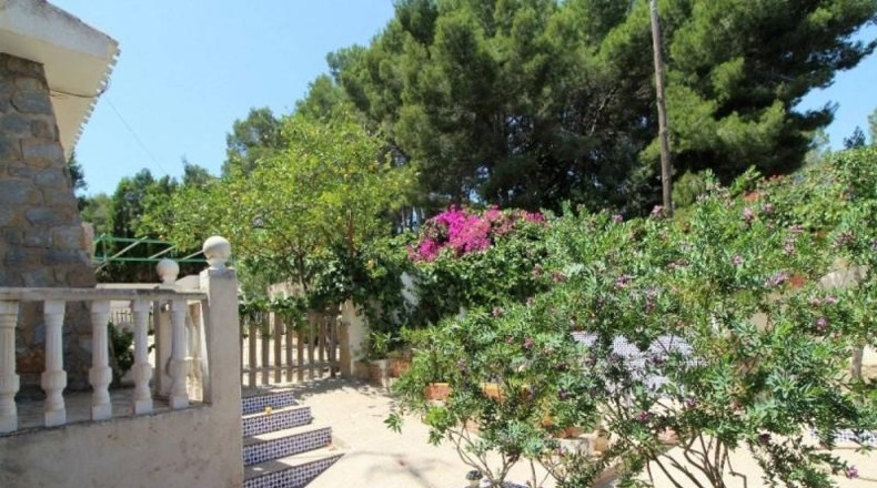 Alicante - Torrevieja - 938m2