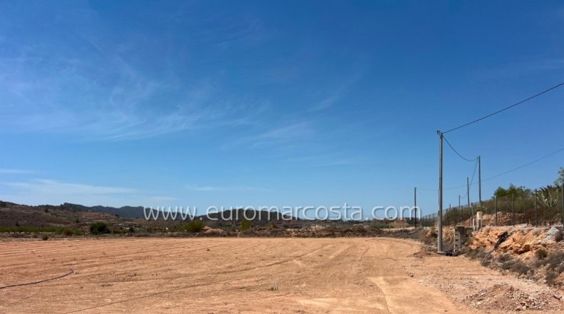 Murcia - Abanilla - 7200m2