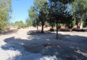 Xalet independent amb terreny en venda a la España, el Fondó dels Frares, ref.: TR152000 foto