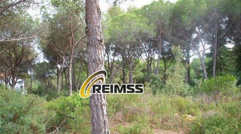 Gerona - Maçanet de la Selva - 1295m2