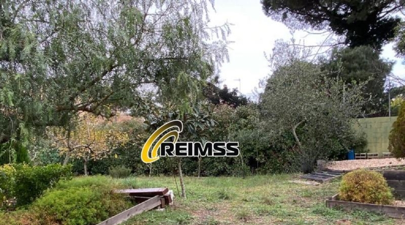Gerona - Maçanet de la Selva - 1295m2